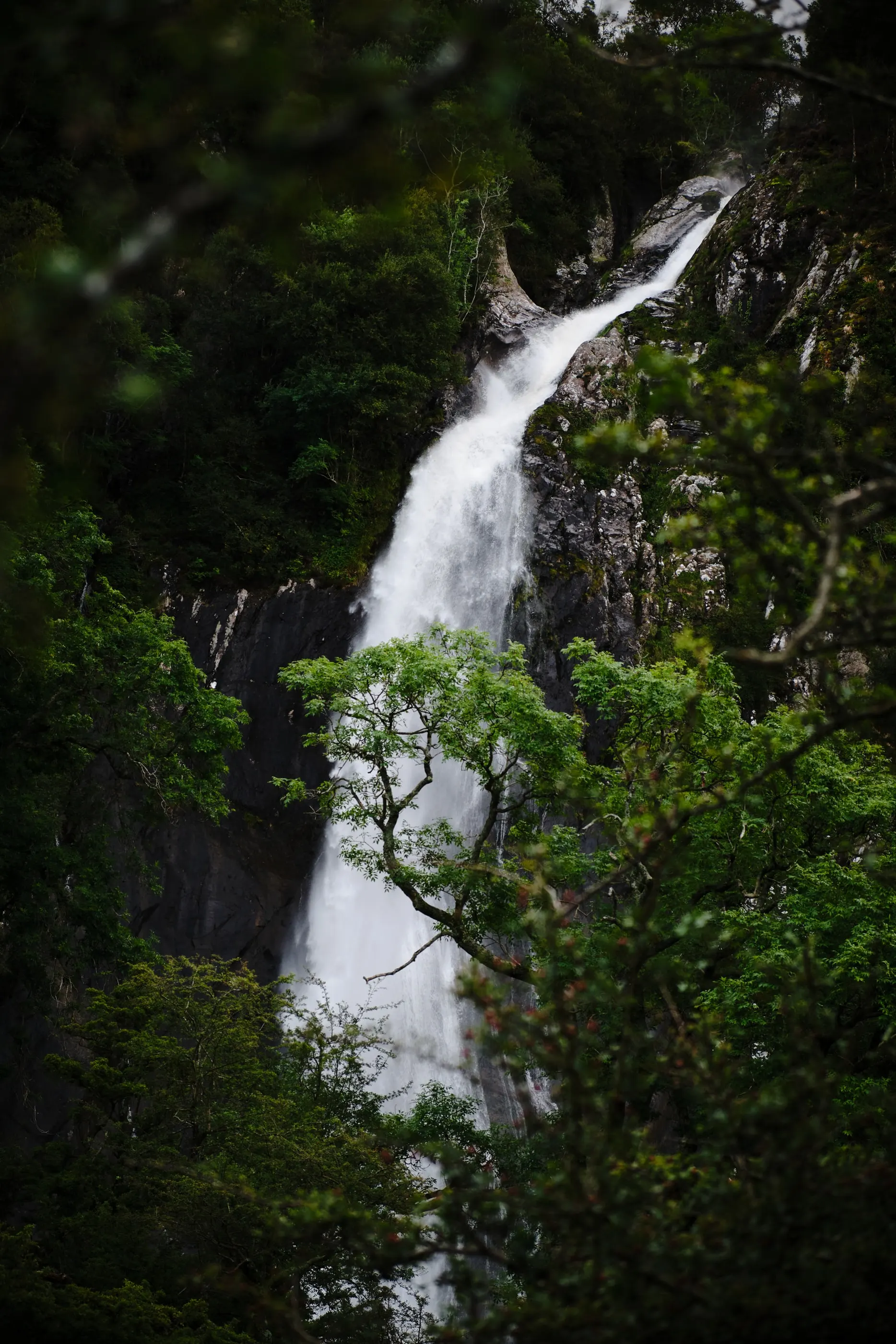 Waterfall in a forest