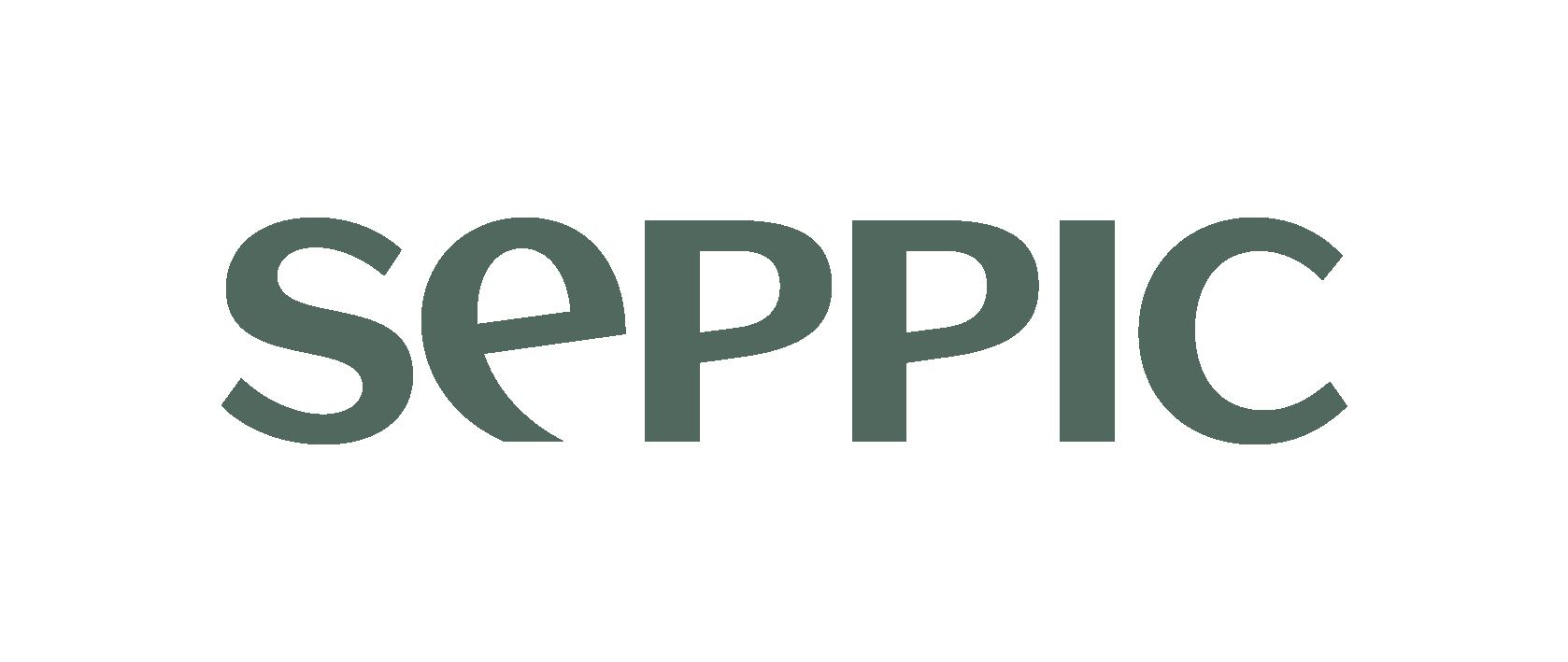 Seppic's logo